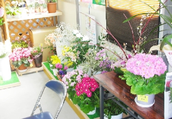 七ヶ浜花屋.jpg