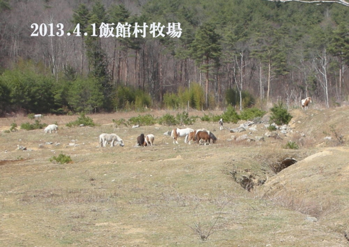 牧場3.jpg